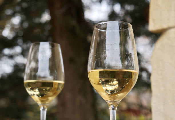 Wine Glasses