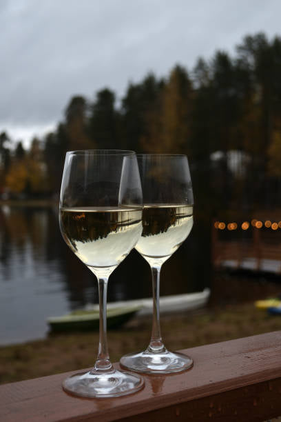 Wine Glasses