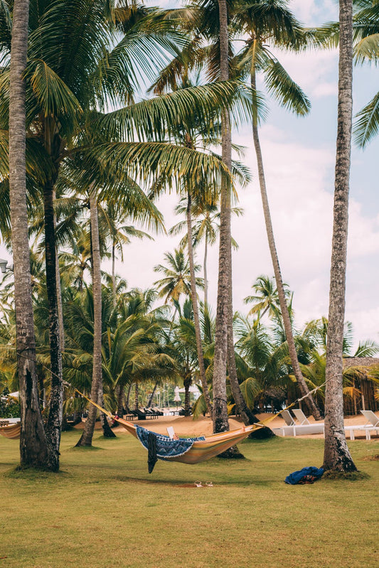 Hammock & Chill